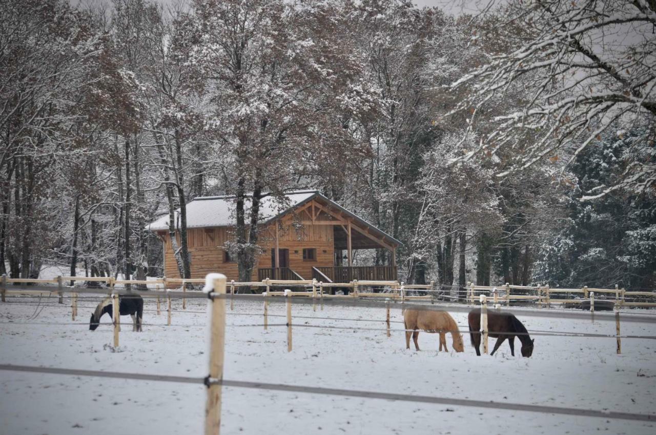 Open Range Ferienhaus