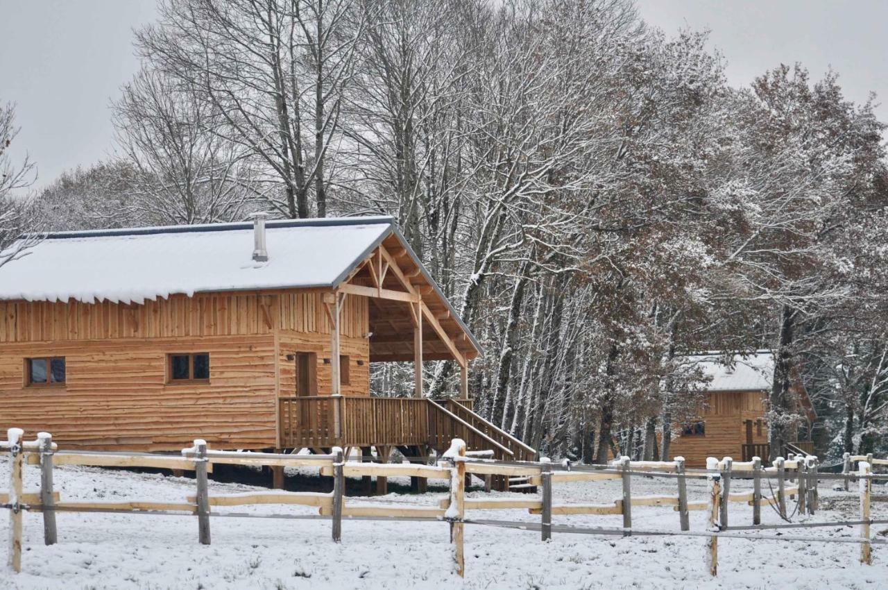 Ferienhaus Open Range